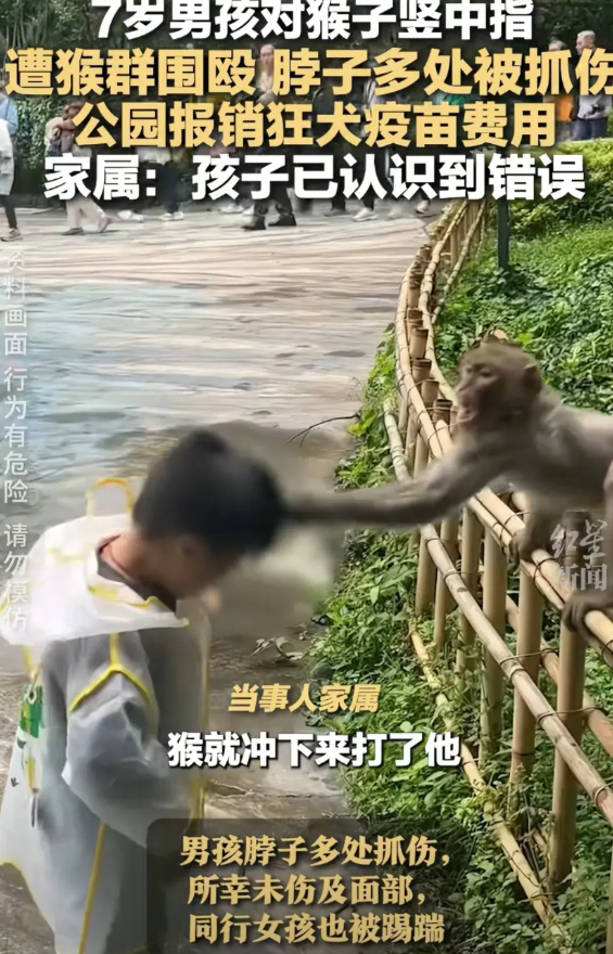 “手太欠了！”6月30日，一名7岁男孩和外婆一起去贵阳黔灵山公园游玩，途中见到一