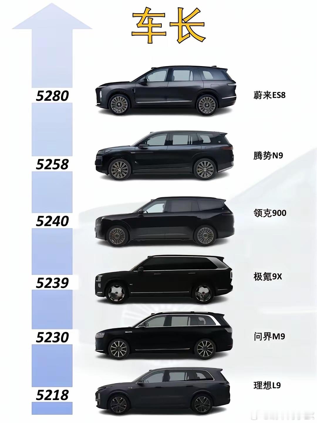 蔚来ES8，腾势N9，问界M9，领克900，极氪9X和理想L9，六款大型SUV尺
