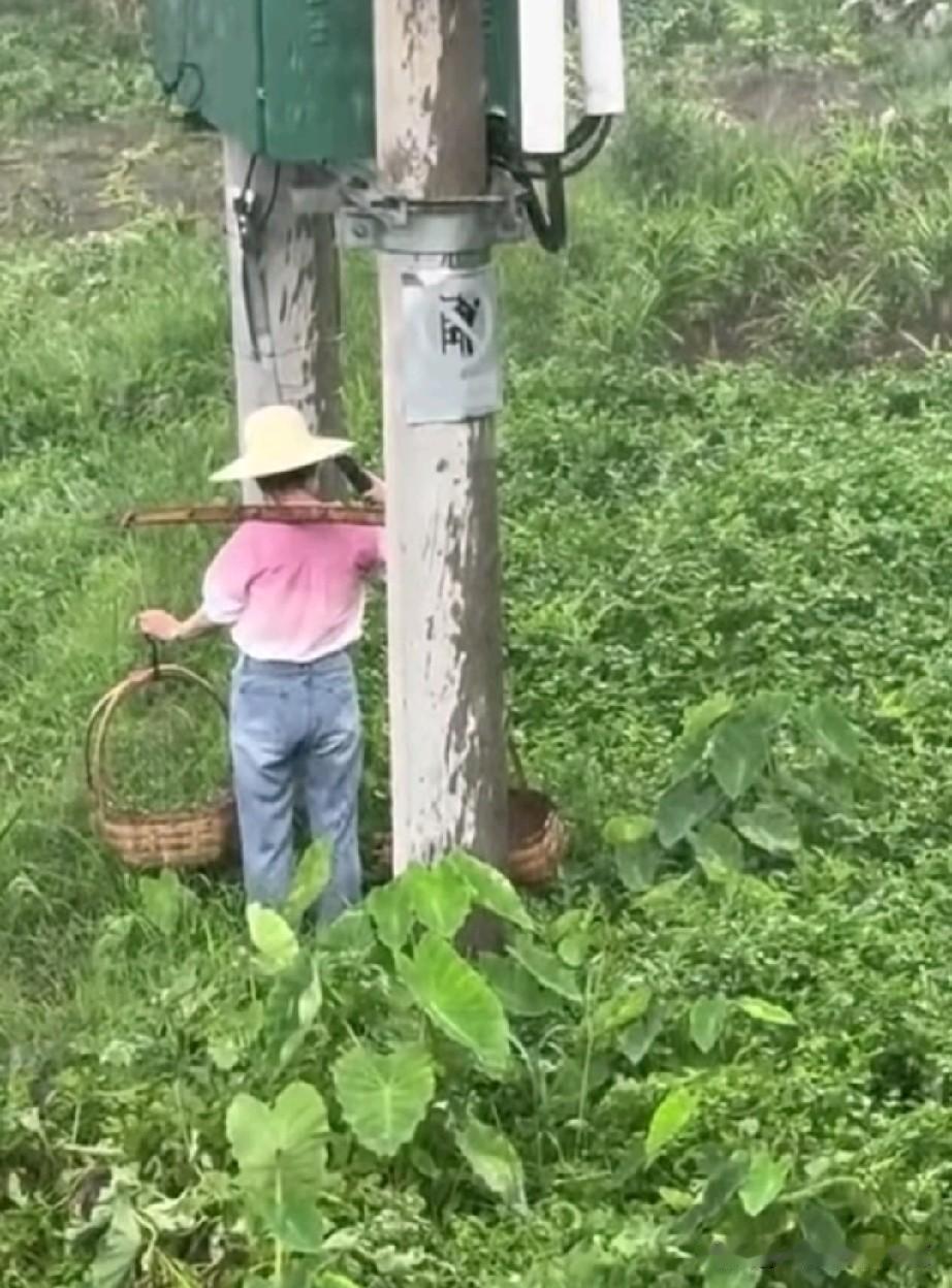 宁可在变压器底下躲雨，甚至还拿着手机自拍，也不愿回家。这样的女人，谁娶了可真是有