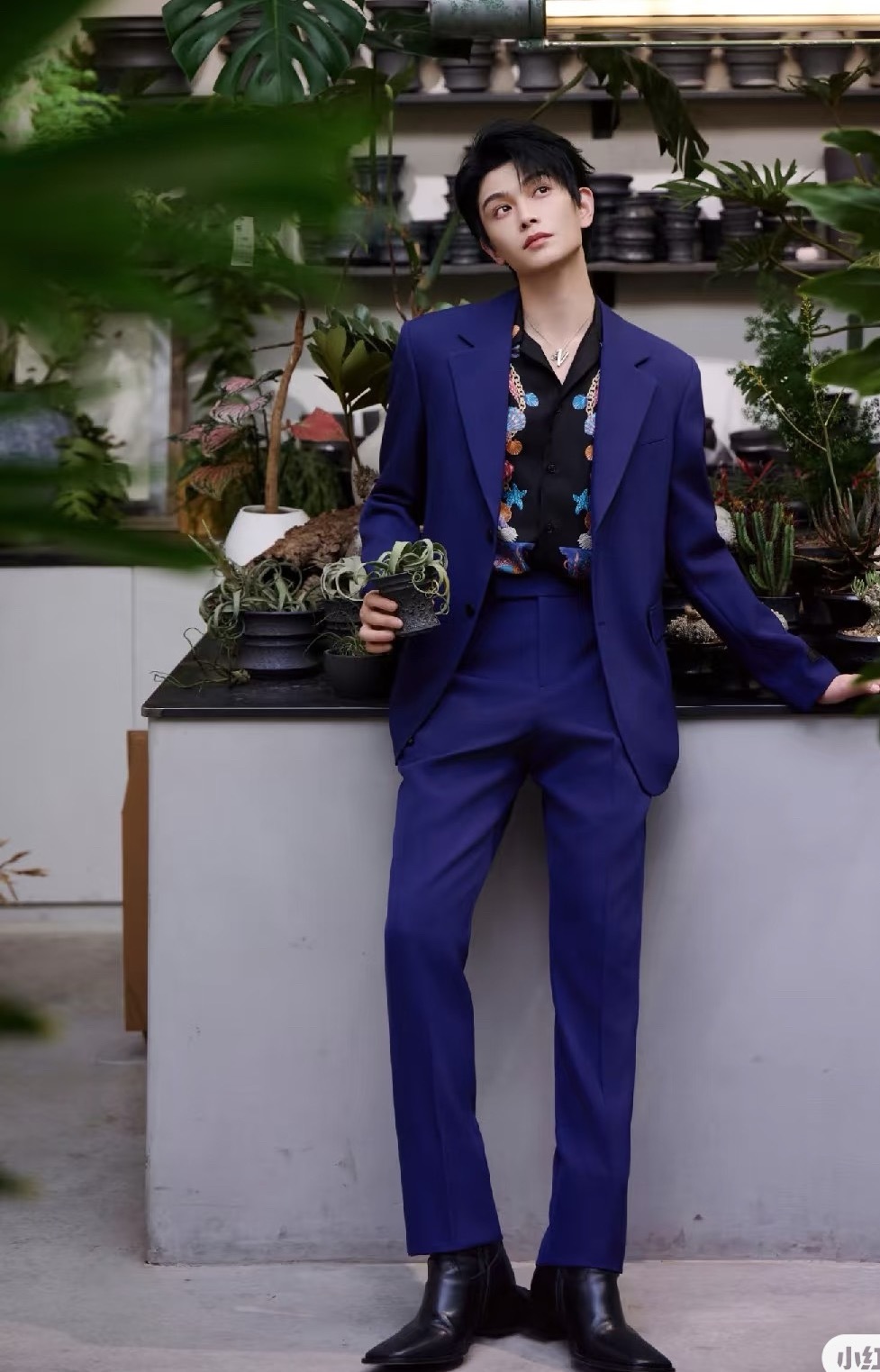 你和我说这是丁禹兮同款？那…