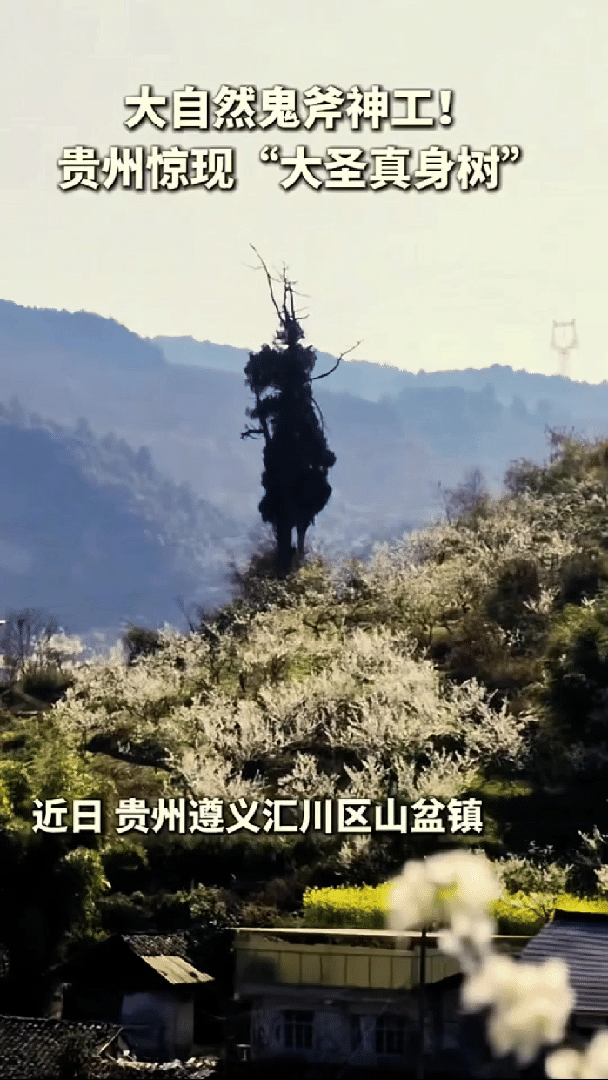 彻底解释不清了，贵州，一男子到山里徒步，原本只是想随手记录山野风光，不料镜头一转