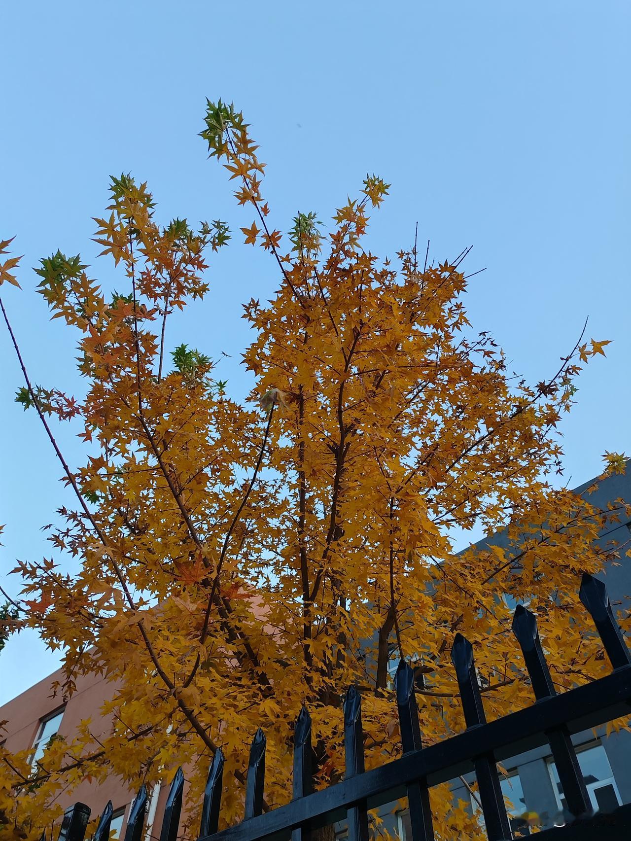 医保卡里统筹的钱什么时候才能用？今天有点降温，天气一凉，鼻炎又犯了，想着去药