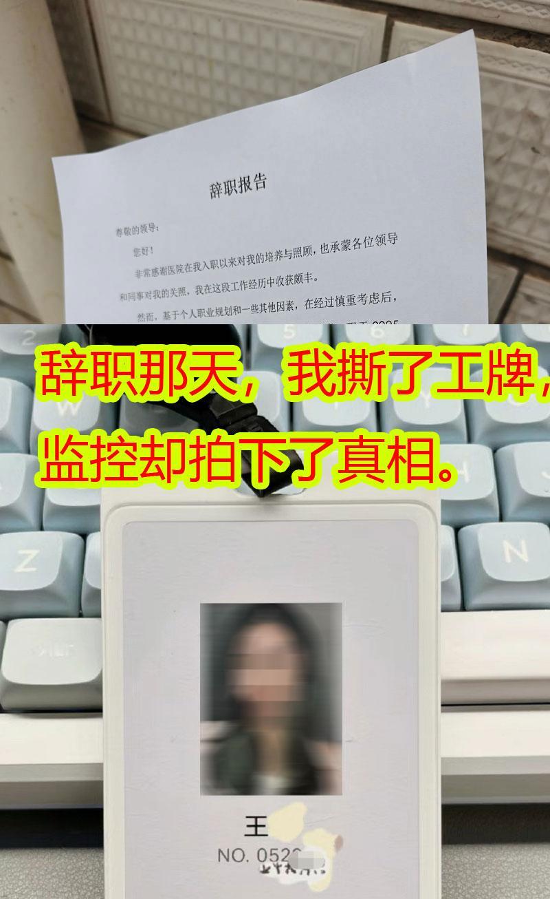 辞职那天，我撕了工牌，监控却拍下了真相。我在这家公司辛辛苦苦干了整整三年，走的
