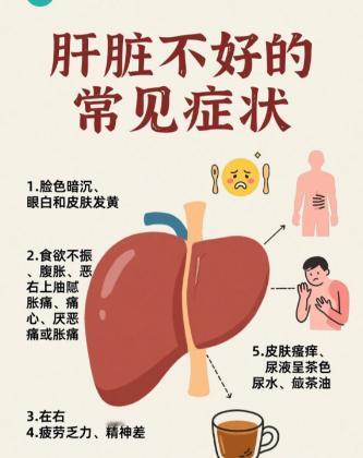你以为是正常可能是肝病的症状，看看你中了几条！很多人身体出现一些小不适，总觉得