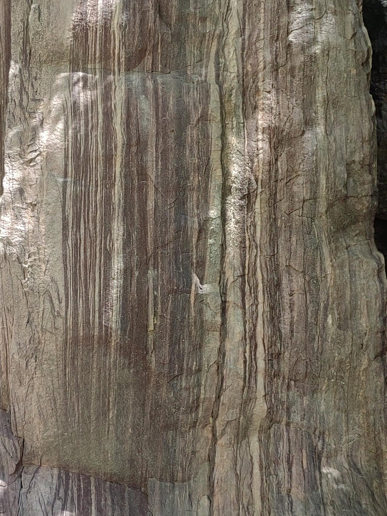 村里一老太太，2010年开始坐轮椅，似乎可以走几步，但仍要求人端吃端喝的伺候着，