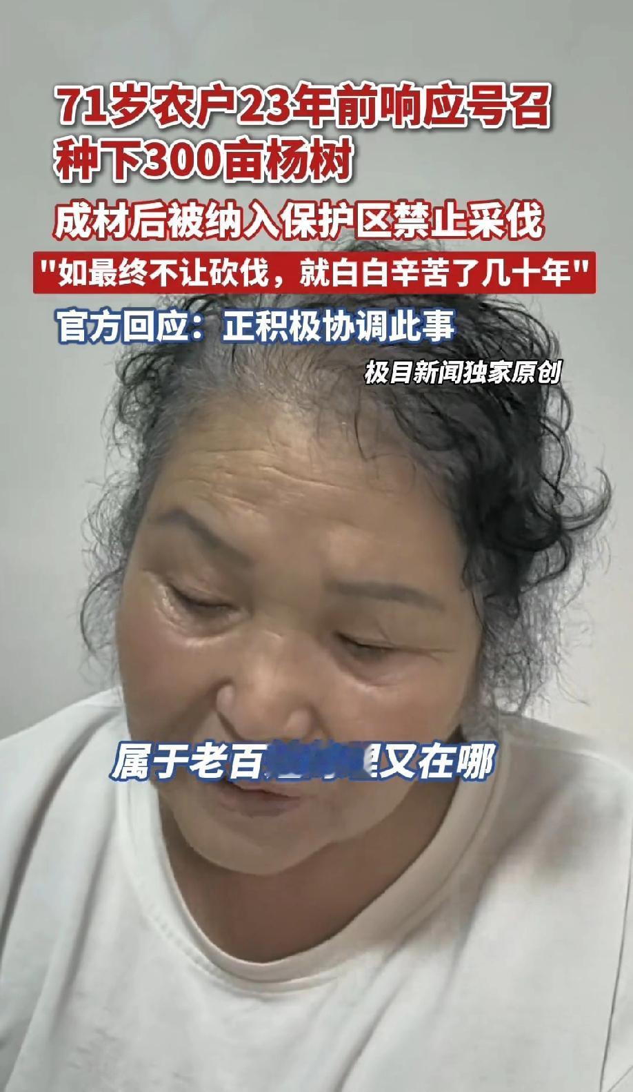 黑龙江齐齐哈尔富海镇，23年前，48岁的王桂菊响应国家号召，签了25年的《造林承