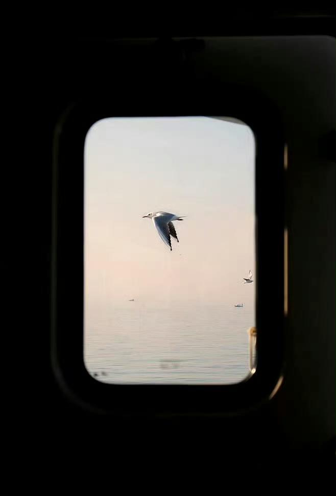 我发现一个玄学验证！玄学中讲突然想起来要做以前很少且反常的事情，或者很久不联系