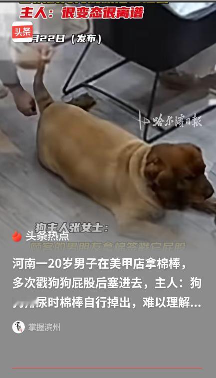 4月20日下午两点，河南南阳一间不起眼的美甲店内，一根沾着血丝的棉签从一只棕色土