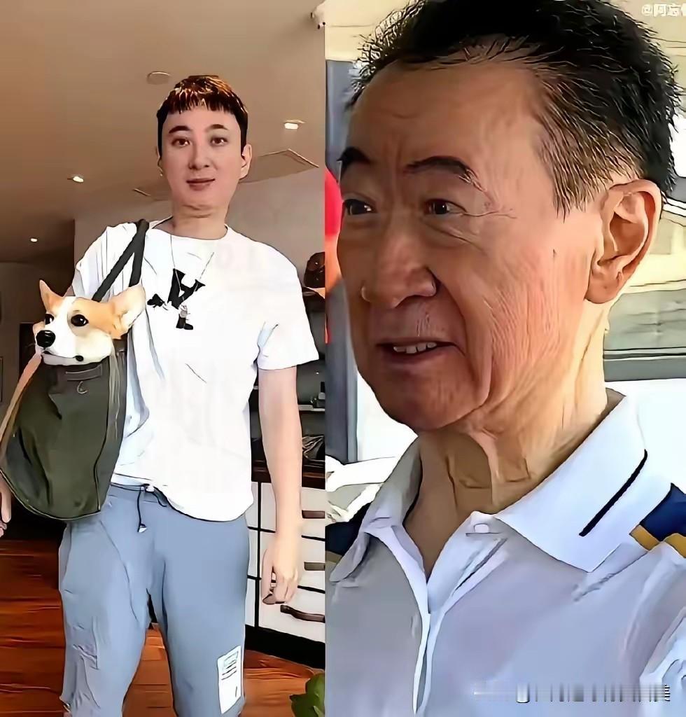 骂了王思聪这么多年，现在回头看，是我们太天真了。人家那不是败家，那是他爹给他买了