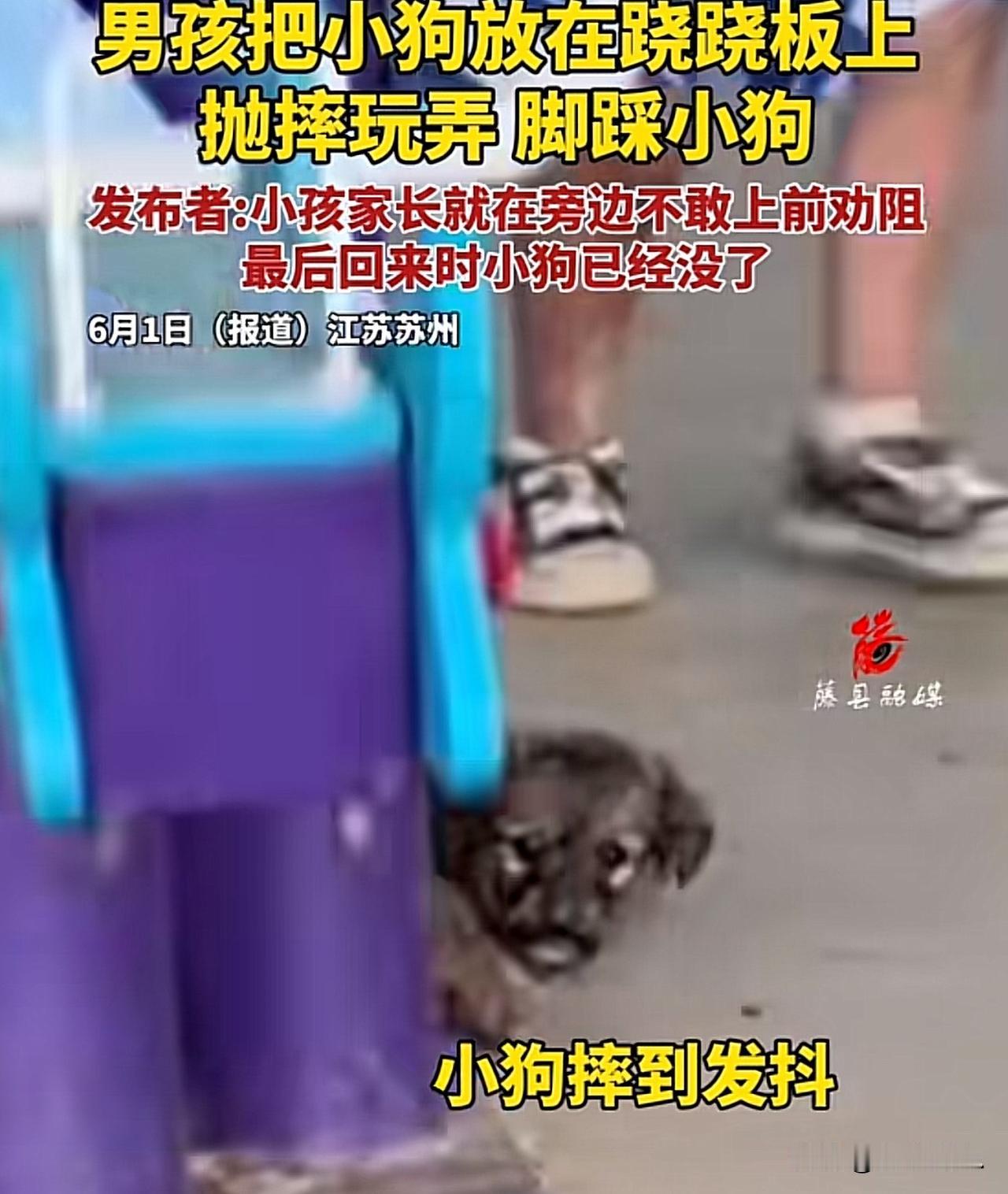 “天生坏种！”江苏苏州，一几岁大的小男孩强行把一只可怜巴巴的小狗放在跷跷板上，肆