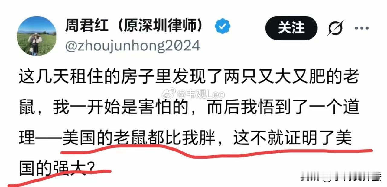 “殖人”的脑回路为什么总是“清新出奇”？周君红在她出租房里，看到两只比她还胖