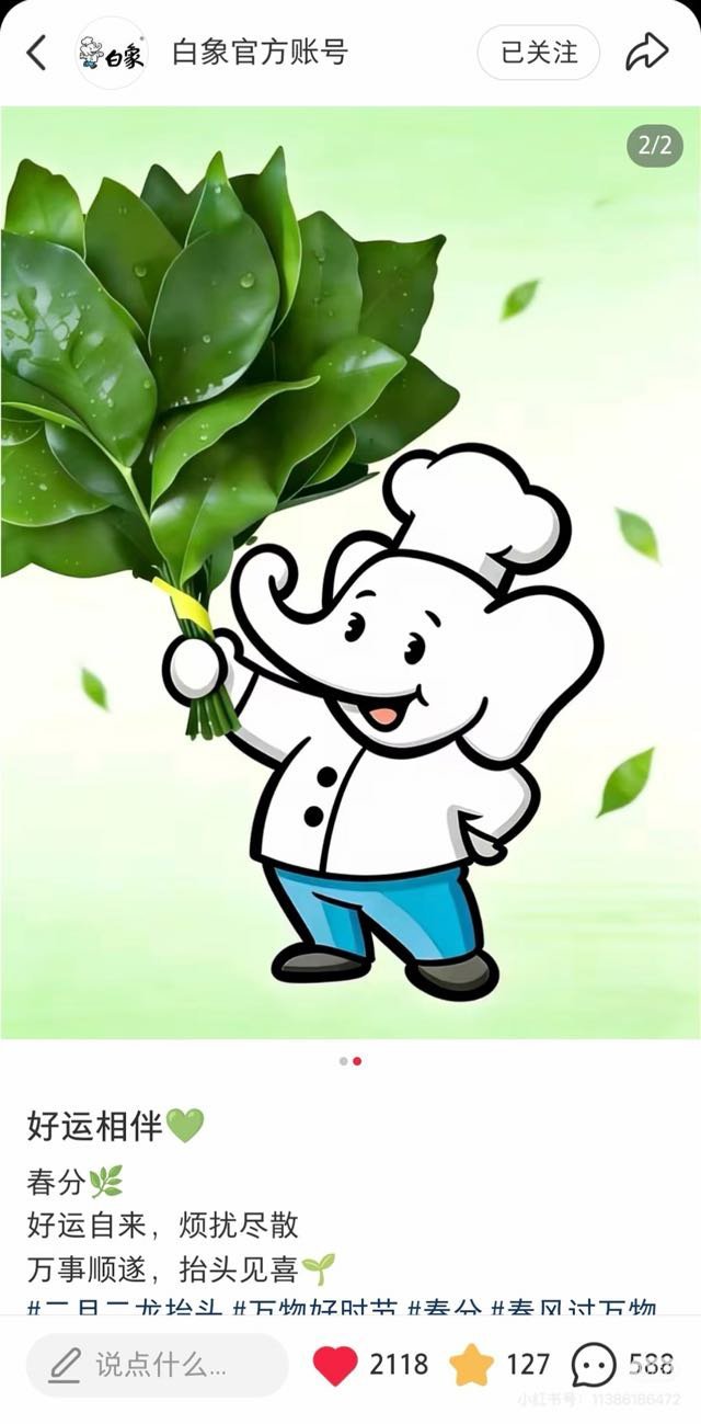 啊啊啊啊啊啊啊啊啊白象