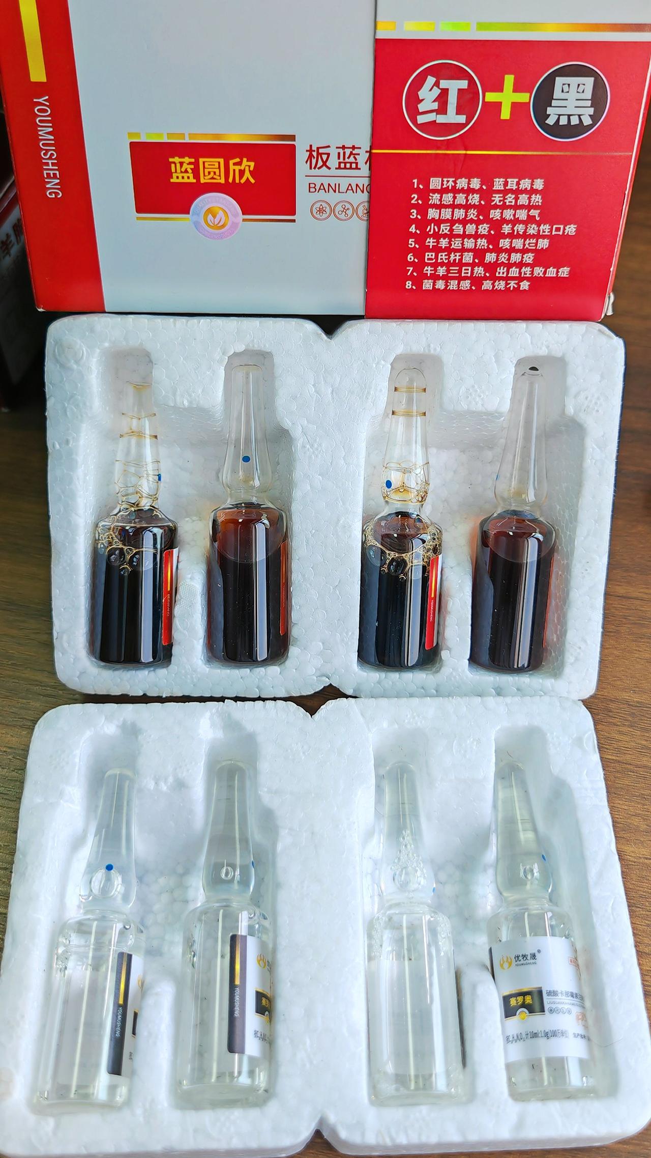 养羊人农村养羊牛羊养殖