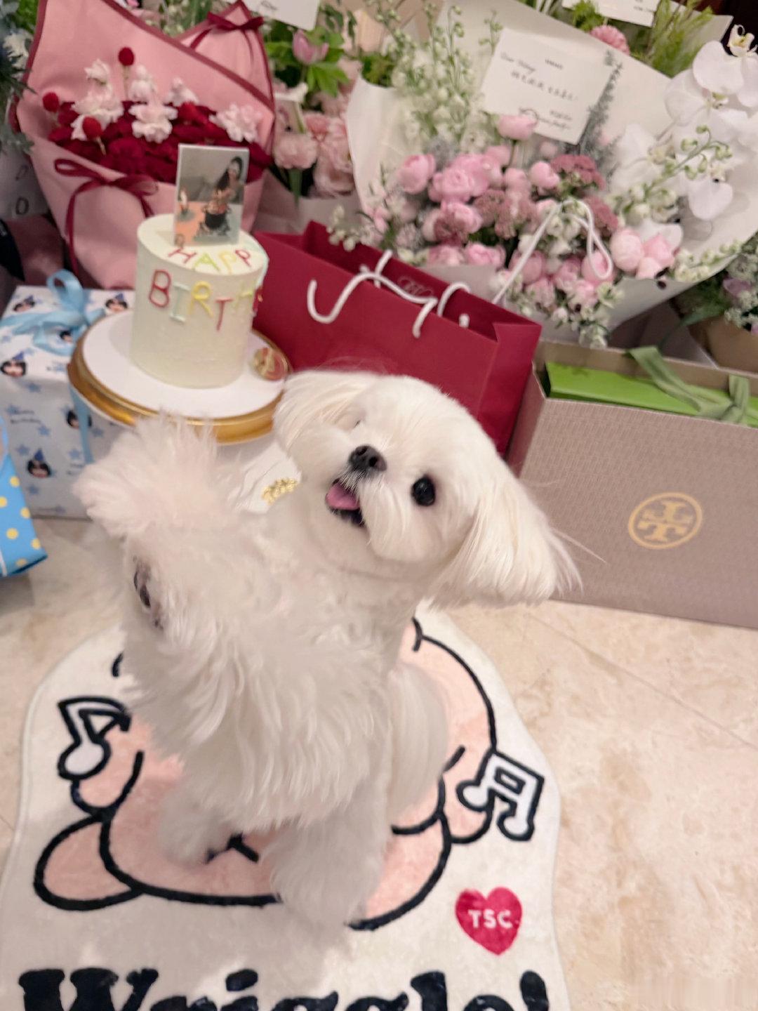 李一桐鸳鸯火锅蛋糕甜妹也爱人间烟火气！仿真鸳鸯火锅细节满满，脑洞大开，生日仪式感