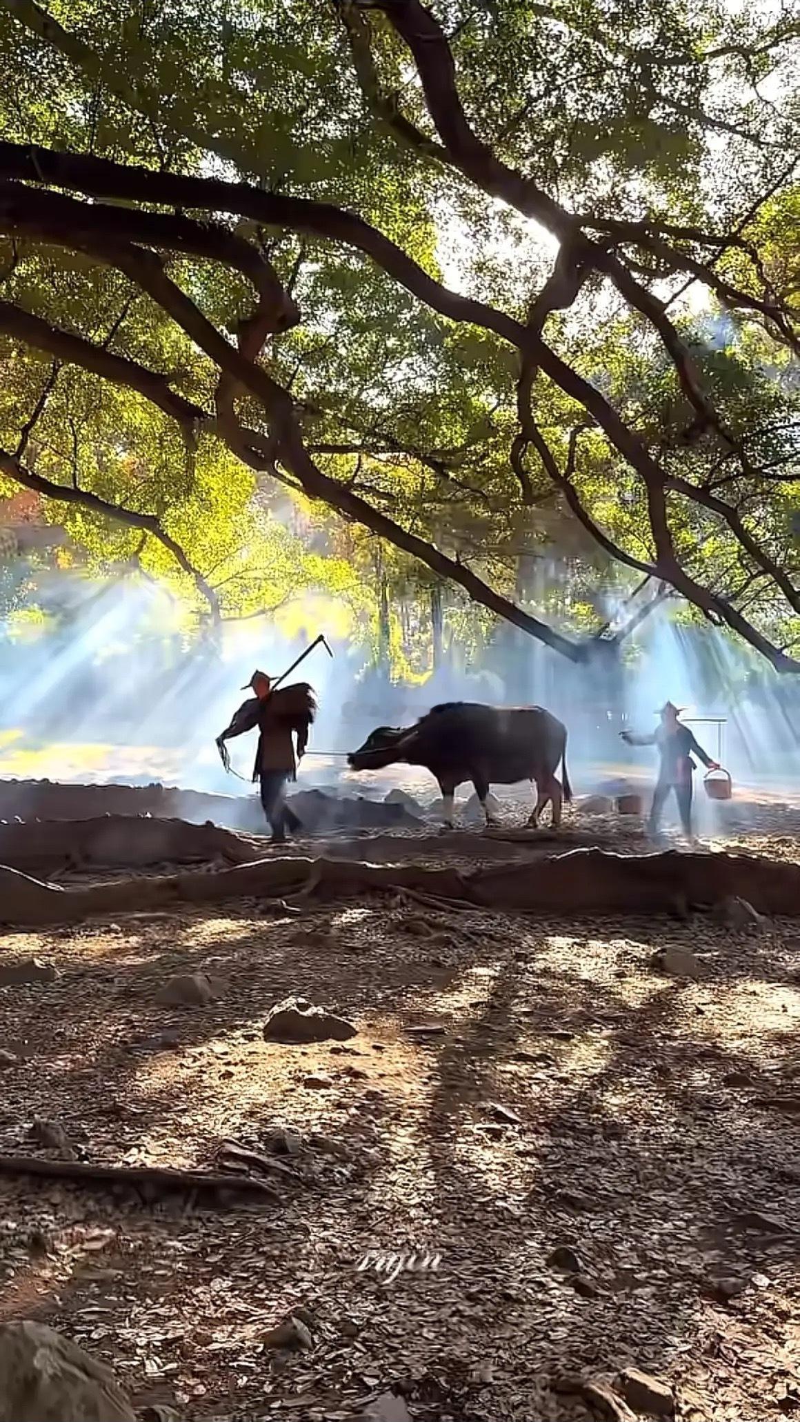 今天看一帮股民交流，还在折腾还在讨论这个热点哪个消息，几十年了没一点进步，在股市