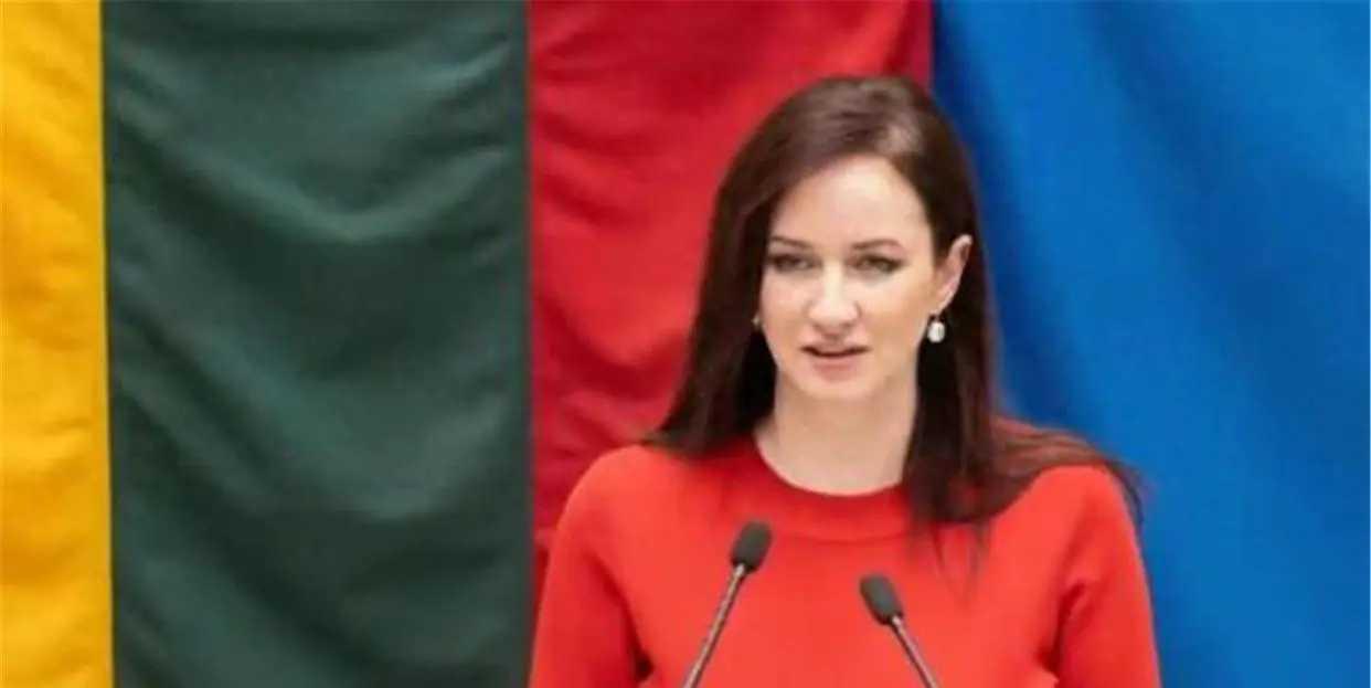 彻底认栽！立陶宛新政府对华180度转向，5年闹剧终收场🔥国际政坛上演现实