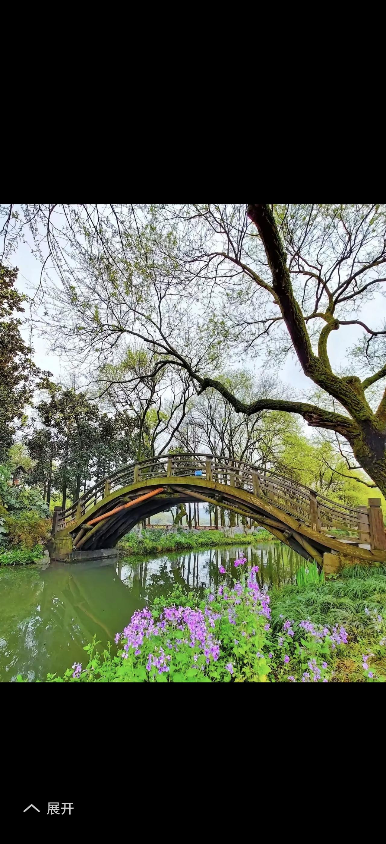 春季的南北差异，那简直大到离谱！在南方，早早就是一片春意盎然，气温开始回升，鲜花