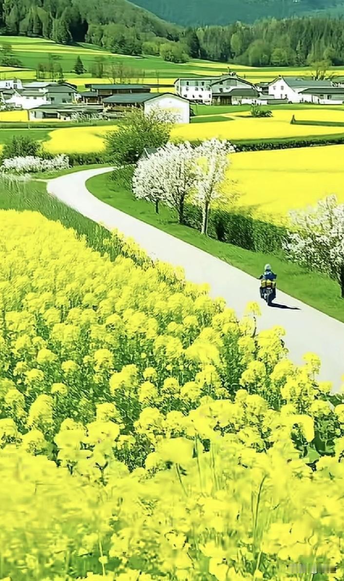 跑步去了，今天跑的有的早了，早点也好，今天就能跑回来了，跑晚了，今天回不来，得明