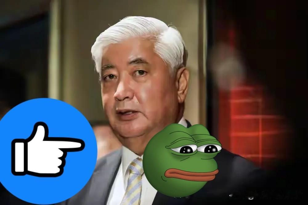 日本前防卫大臣表示了！据美国外交学者网站11月26日报道，日本前防卫大臣中