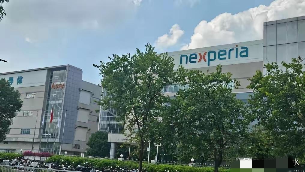 商务部这声警告可不是虚张声势！直接给荷兰政府定了性：升级供应链危机，责任全在你方