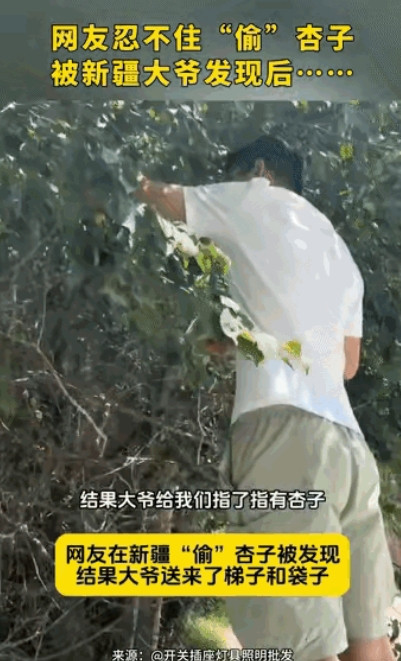 这就是新疆人的善良！一男子和好友去新疆游玩，看到路边的杏子就准备趁人不备“偷吃”