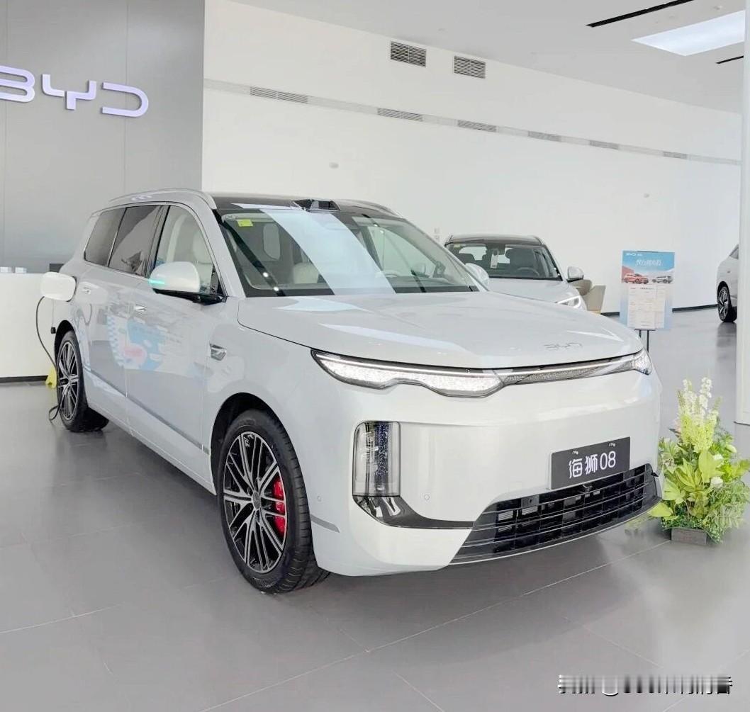 听我一句劝，比亚迪汽车这么买就对了：1、10万左右：比亚迪海鸥、海豚、元UP