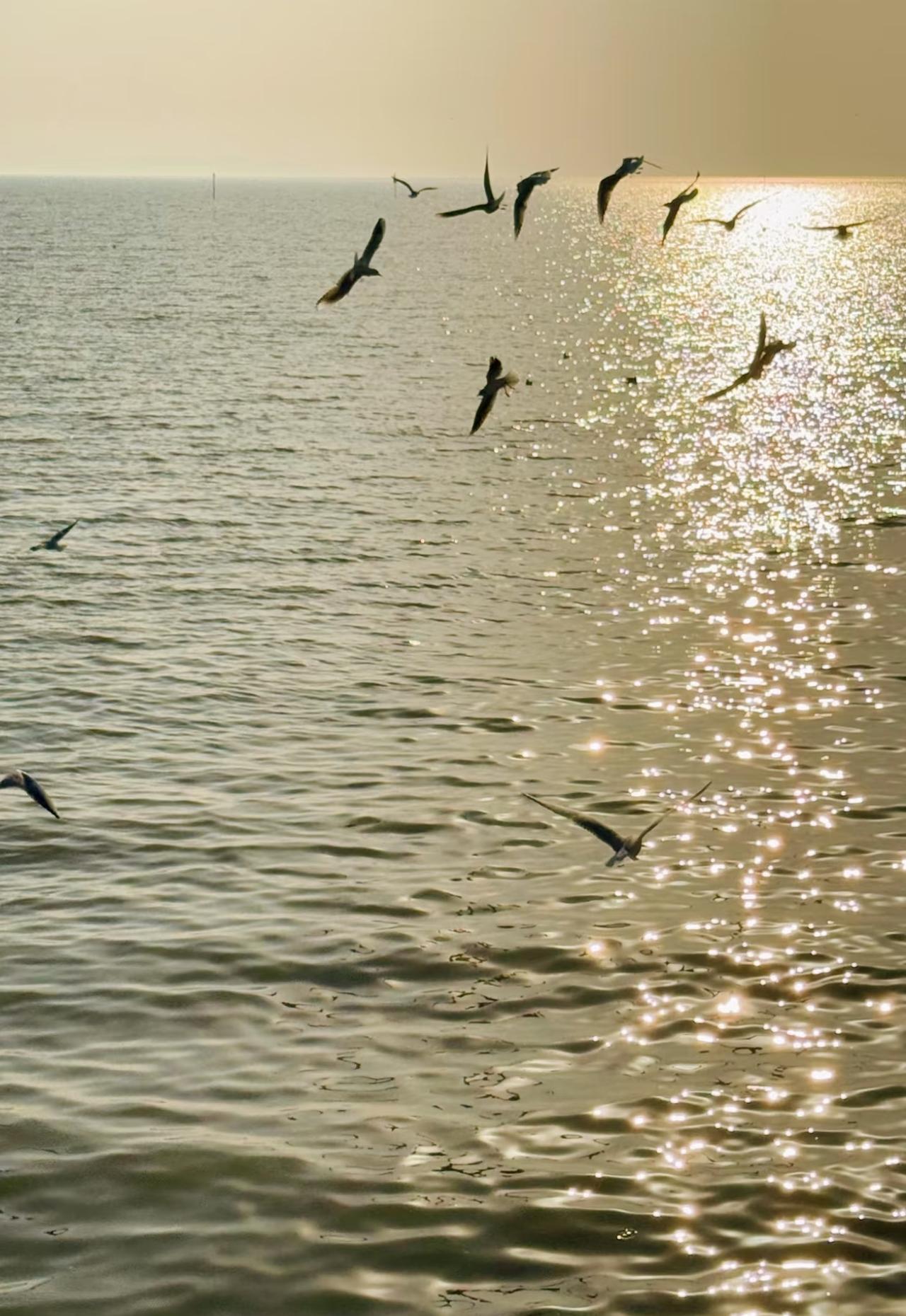 一个贵妇，要是突然抛头露面，拼了命地想当网红。我告诉你，九成九，不是婚姻亮了