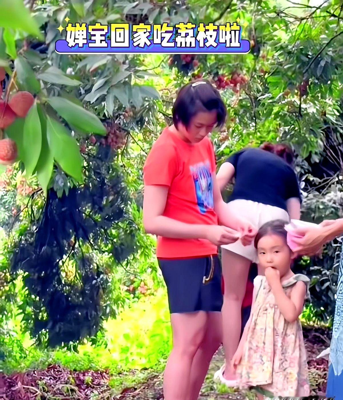 全红婵胖了是没办法的，大概率是遗传基因的问题，加上刚好18岁，身体处于发育状态，