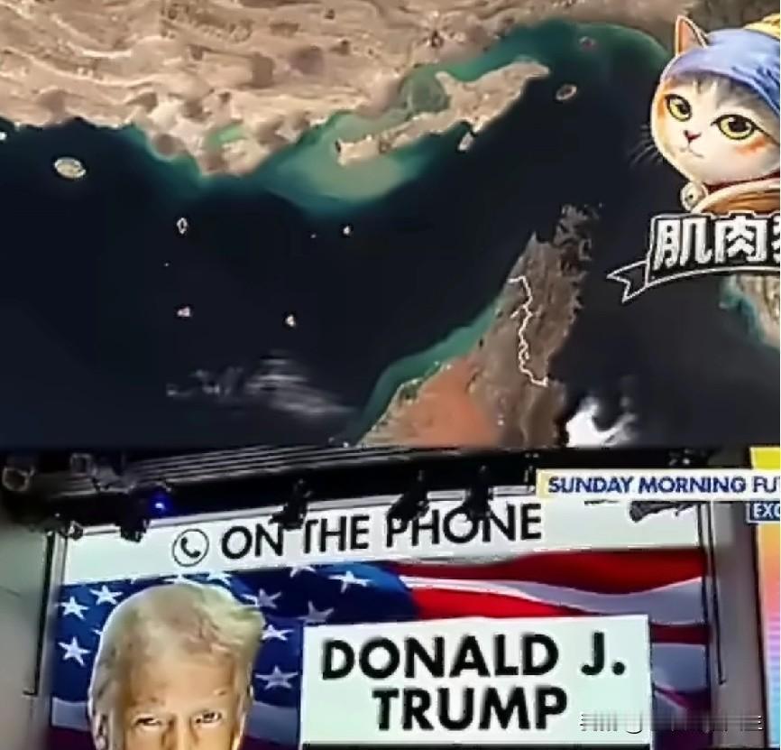 这世界就是一个巨大的草台班子！[汗][汗][汗]在美国宣布封锁霍尔木兹