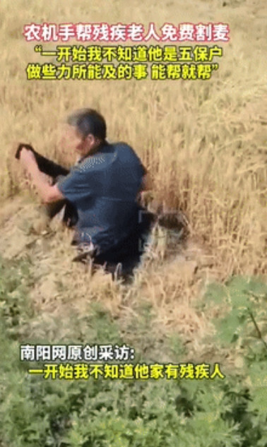 仗义多是屠狗辈！山东聊城，一农机手给大妈割完麦后，大妈的丈夫杵着拐杖慢悠悠的也来