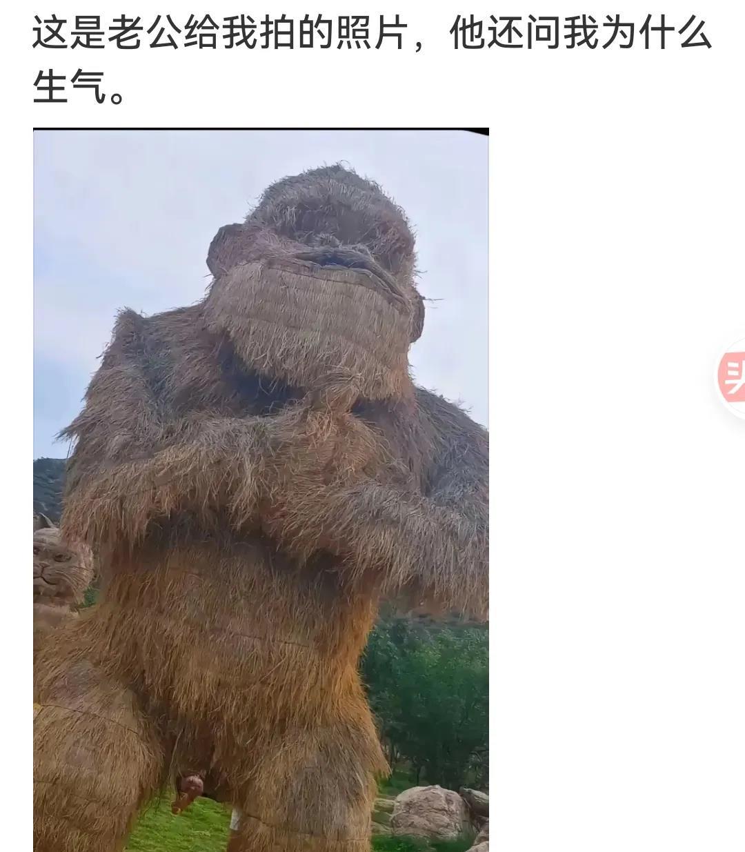 你老公是个人才，不放大都看不到你在哪