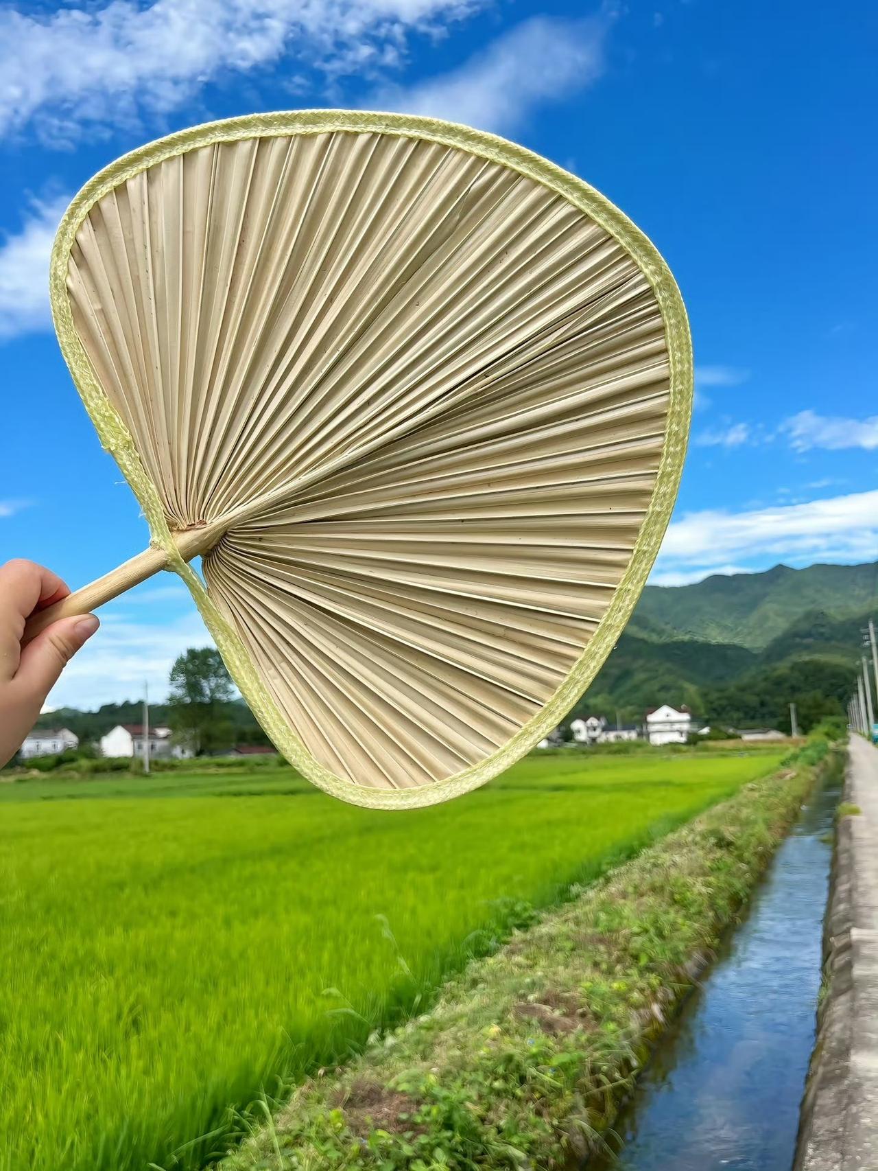 惬意的乡村时光