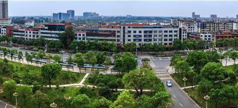 行走在石首市城区街头,道路两侧绿树如盖,花草,灌木和绿色立体景观相