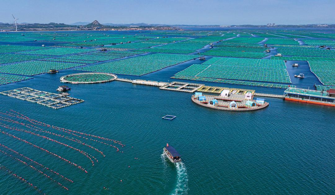 美：你们海洋经济走的可够快的呀！中：俗话说靠海吃海，放着这么好的资源不利用浪费