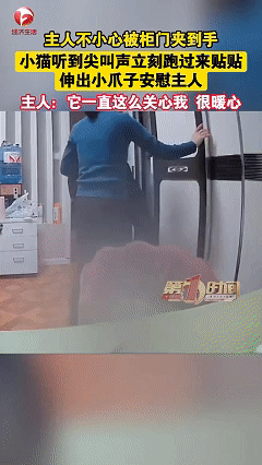 万物皆有灵！近日上海，女子拉衣柜时不小心被柜门夹到了手，痛的忍不住叫出了声，没想