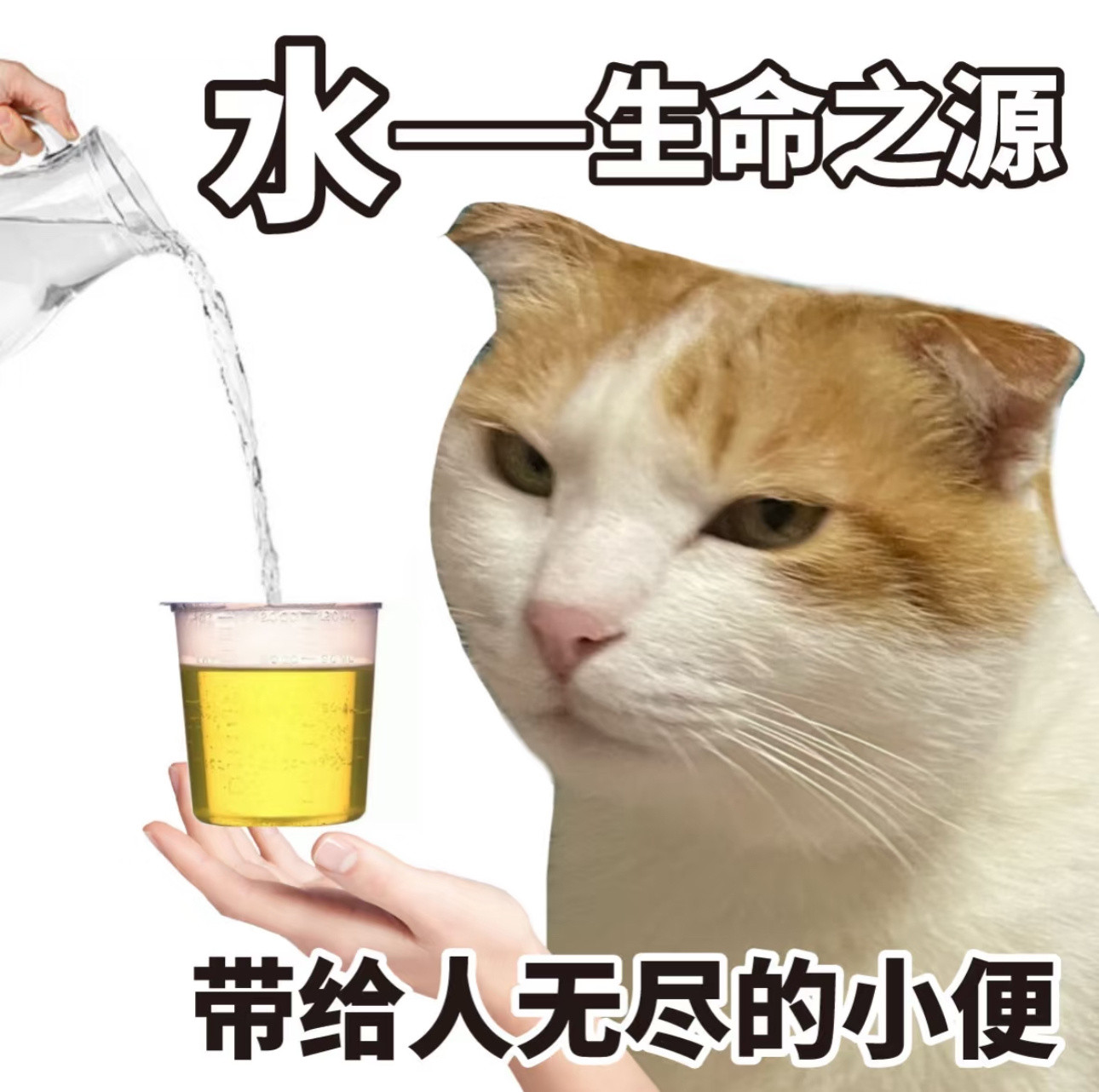 好家伙，因为自己一开始担心没水喝，定了11件矿泉水（每一件12瓶）（因为10件起