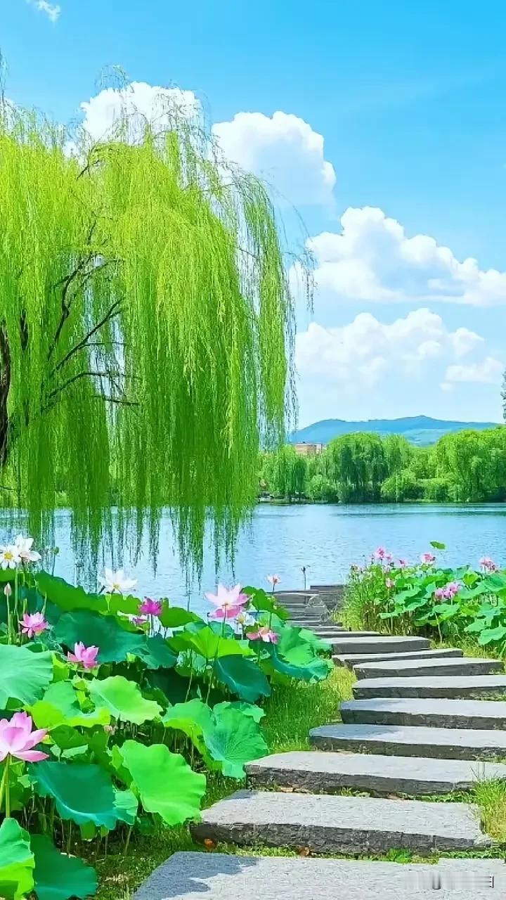 《鹧鸪天·暖心寄语》花开灿烂沐晴光，人生安健始安康。情深意厚常相语，