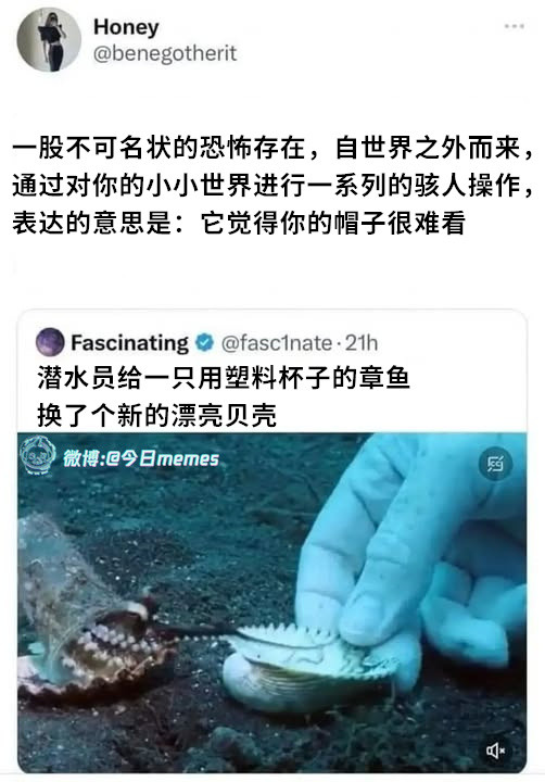 审美入侵（benegotherit）今日meme今日memes​​​