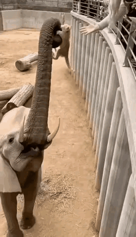 真有灵性，即使自己深陷囹圄，却也还想着帮助其它生命