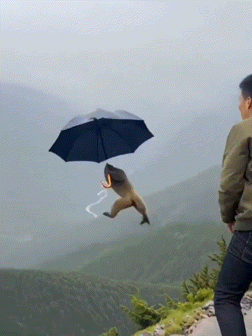 网友:视频是不会骗人的,所以这是真的!