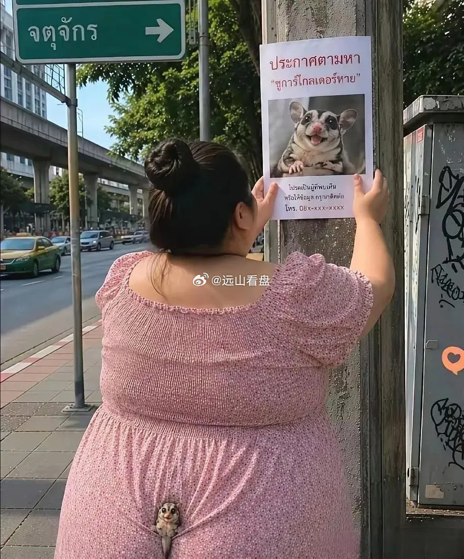 大姐还是别贴了，你是找不到的！​​​