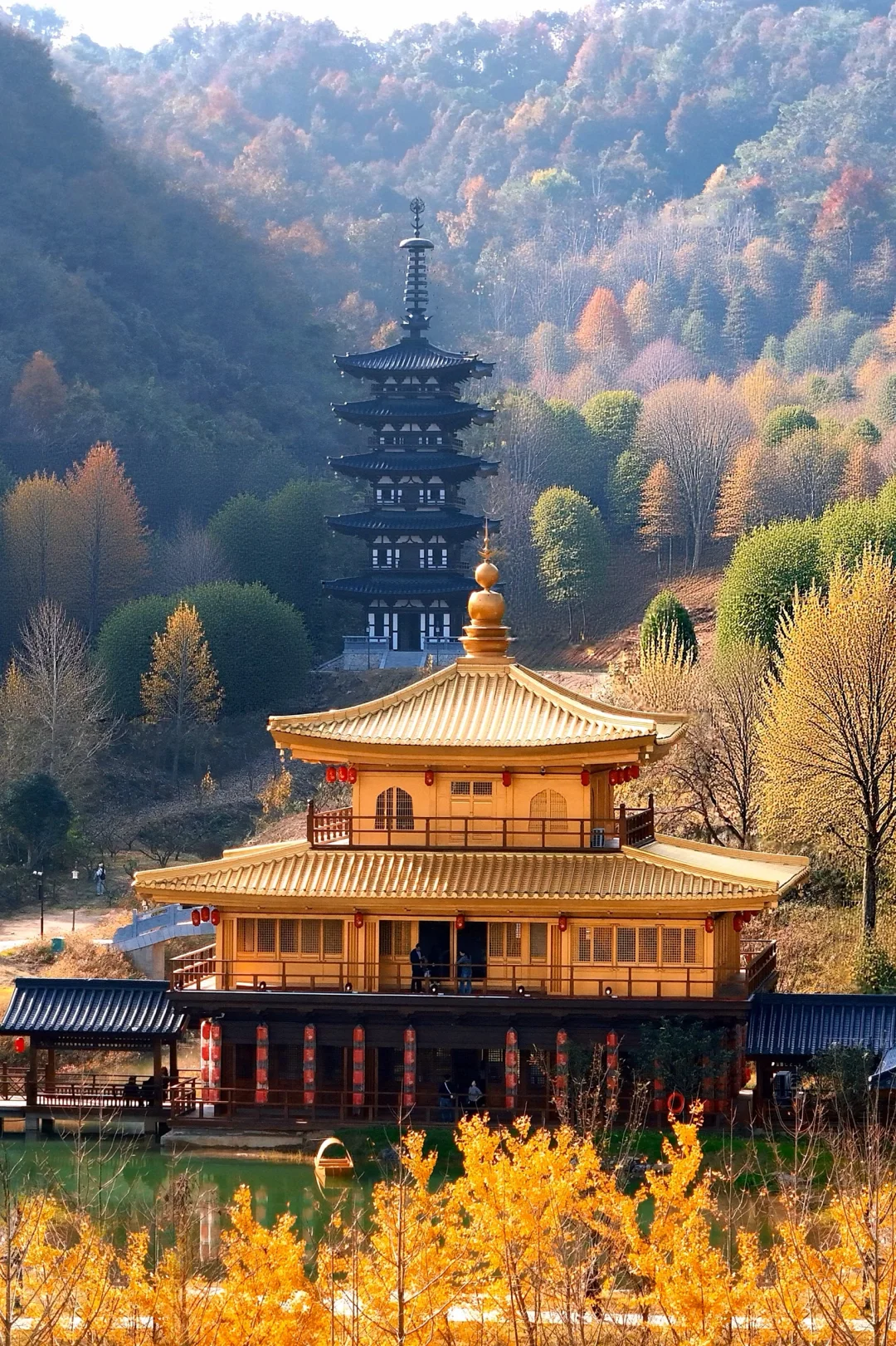 武汉周边！赏秋圣地！怎么没人来？