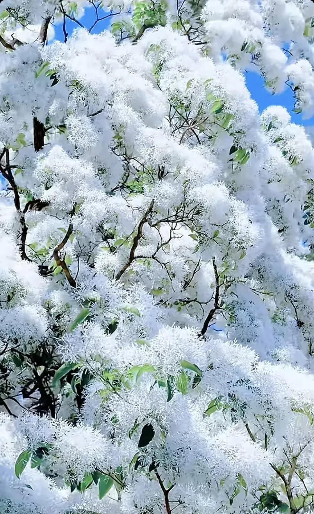 问一下80后的姐妹们，如果回娘家的路只剩下了消耗和冷漠，你该怎么办？表姐今年4