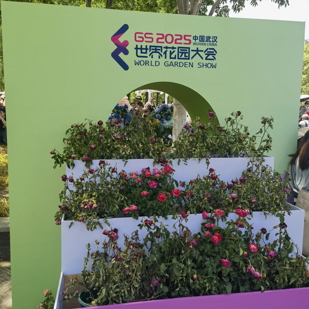 今年武汉沙湖公园世界花园大会比去年人气暴增但观感差很多不推荐前往！没有去年有设计