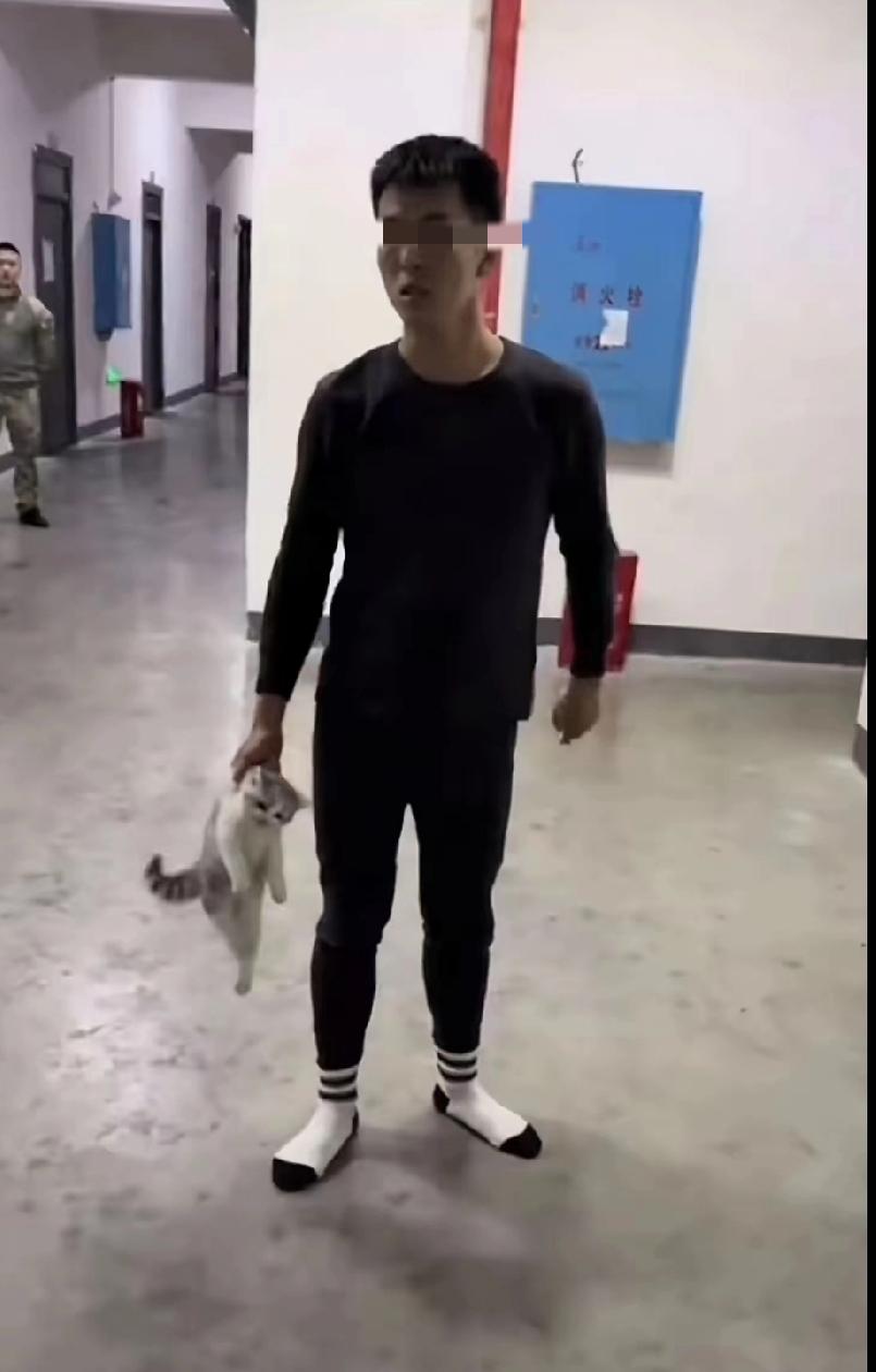 男生摔死幼猫后续：教官查寝起争执，当场摔死还在抽搐，理由让人气炸！最近，一段