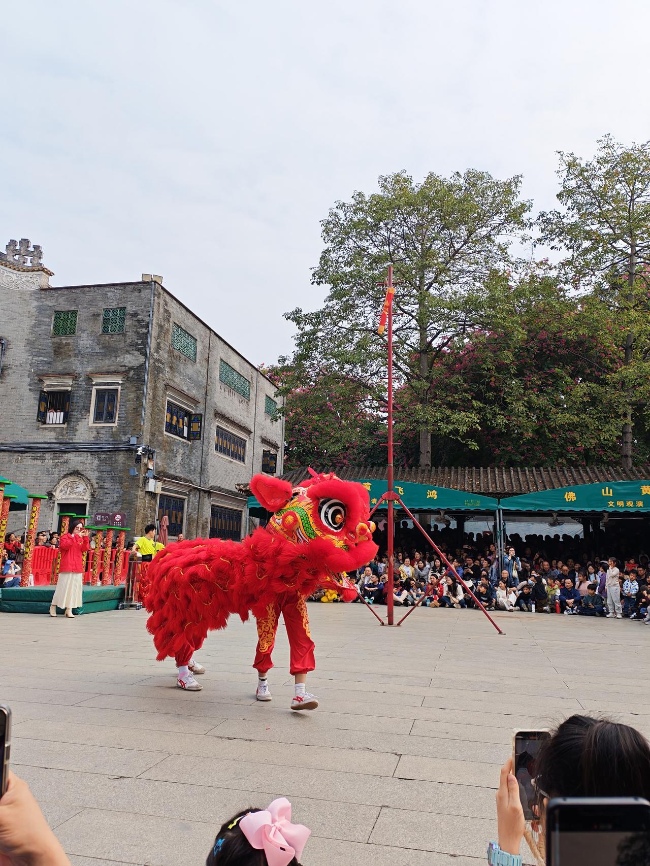 发一张图片证明你去过佛山去佛山一定要打卡岭南新天地、祖庙、千灯湖景区，佛山的有记