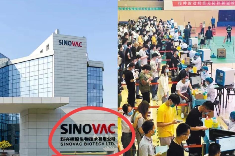 胳膊上的疤还在，科兴却退市了？530亿分红外资拿大头，太寒心！谁