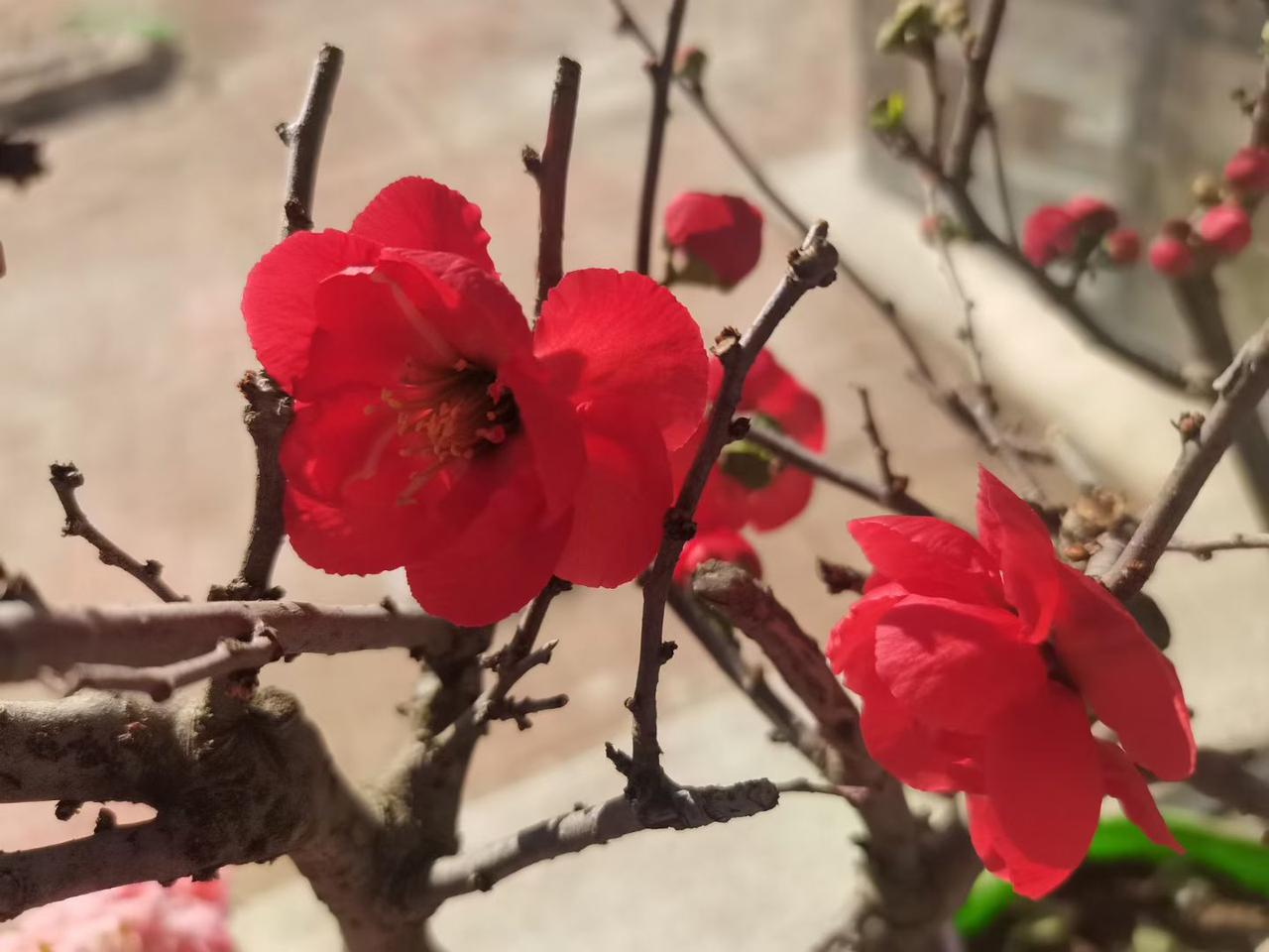 很多男人会觉得别人的老婆好，其实原因挺现实。一方面是看的角度不同，男人对自家老婆