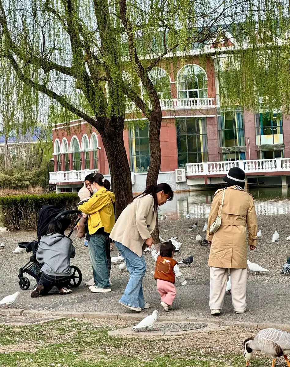 何穗带儿子逛公园喂鸽子宝宝神态随陈伟霆显呆萌