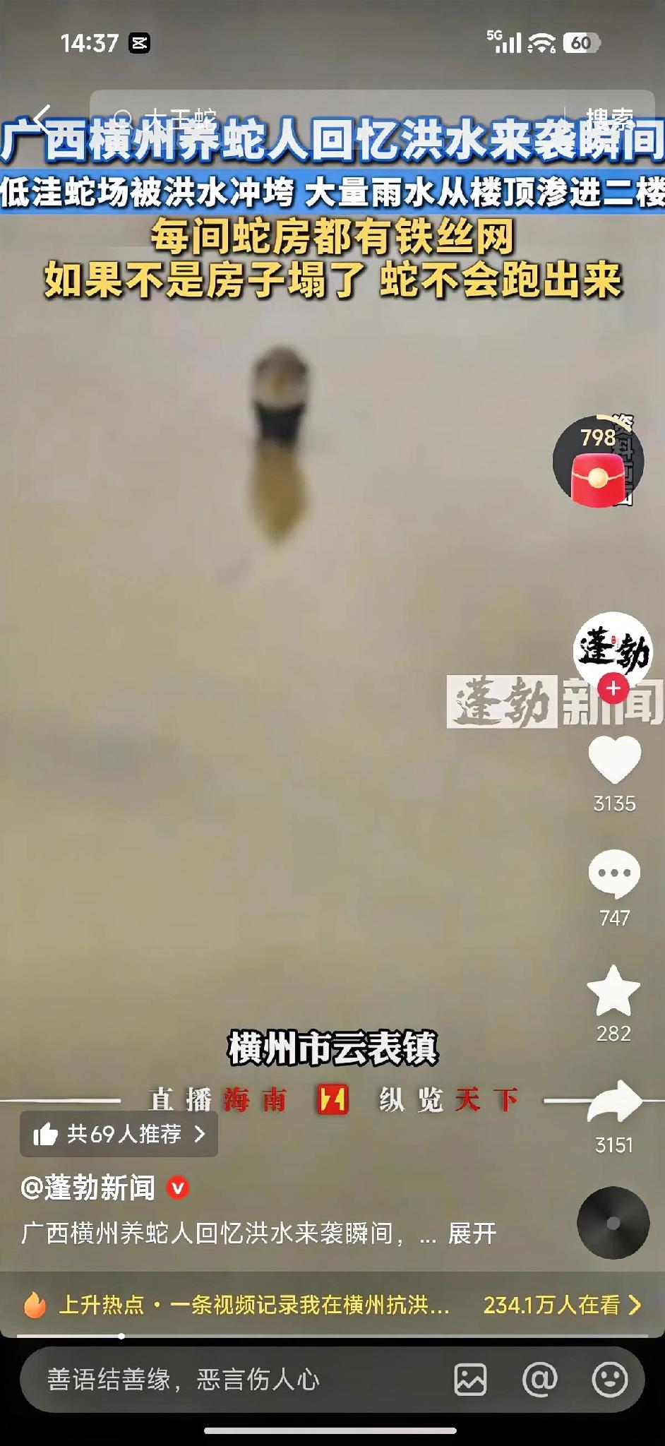 6万条蛇养殖场被洪水冲毁！数百条蛇外逃，暴露最致命养殖漏洞谁也没想到，一场